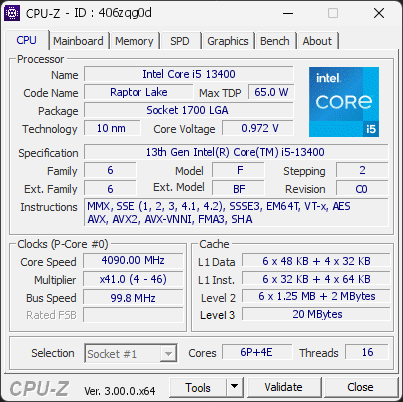 CPU-Z screenshot for 406zqg0d