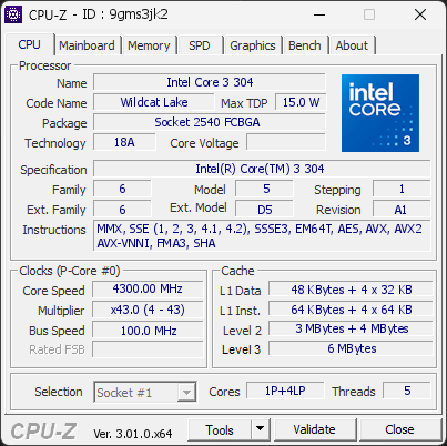CPU-Z screenshot for 9gms3jk2