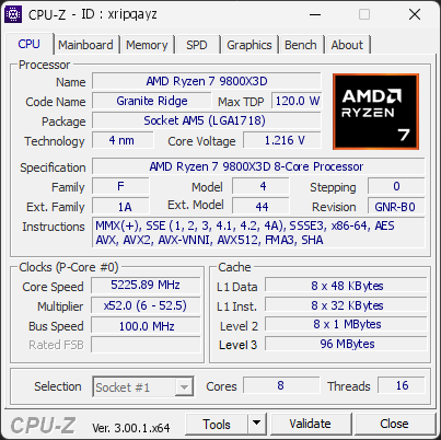 CPU-Z screenshot for xripqayz